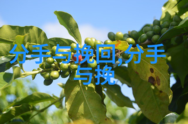 男生出轨还能挽回吗 男人出轨了还能挽回