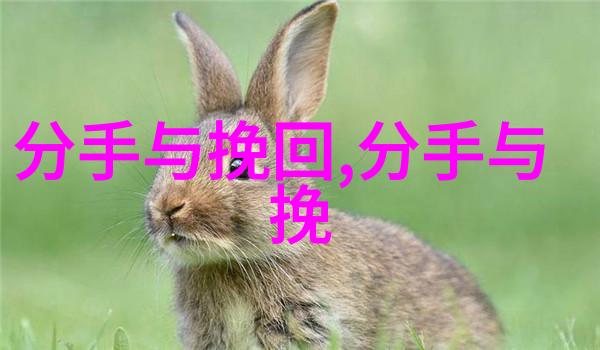怎么挽回回避型男友分手十年后还想念彼此怎么办