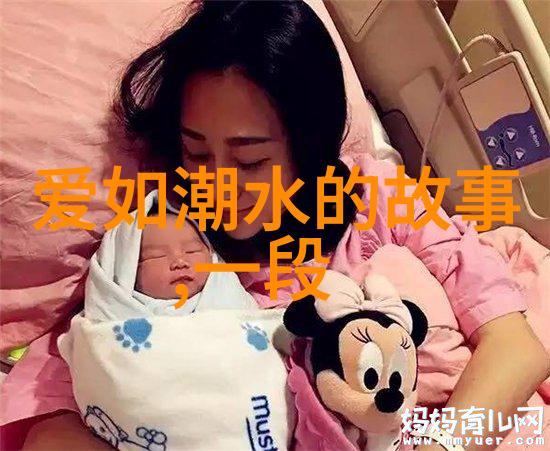 王安与小狐狸