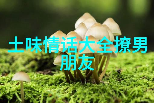 夫妻相处攻略夫妻如何相处才能美满