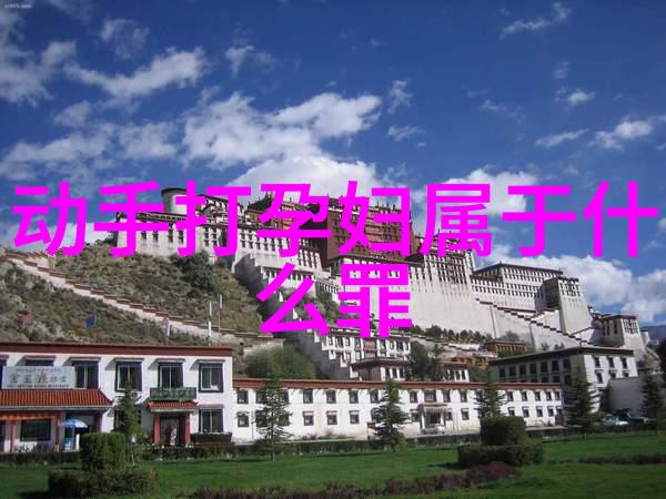 男友赴美性格大变因为变心才暴力