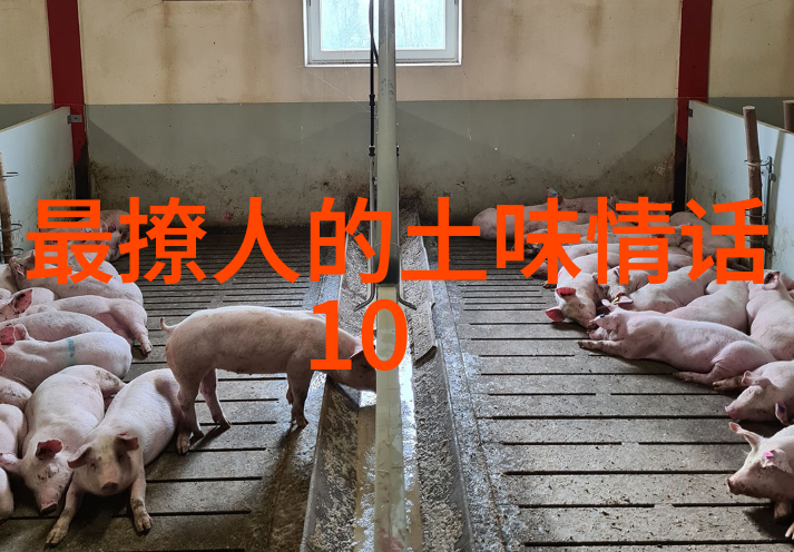 夫妻态度叫信任建立信任3个感觉