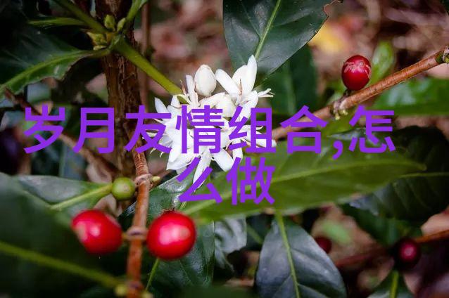 我的交友小原则