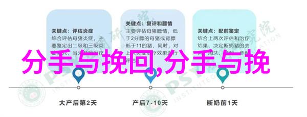 如何劝解要离婚的夫妻适度ldquo偷懒的女人最好命