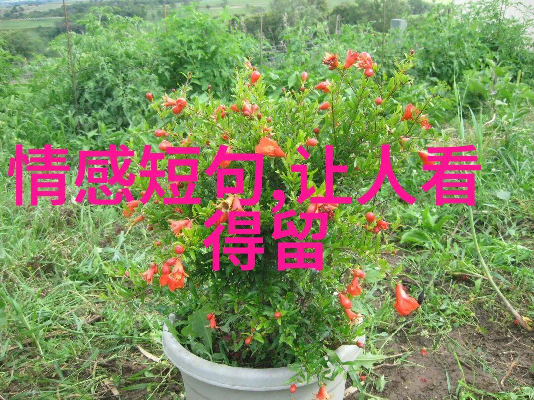 这段不挣钱的日子