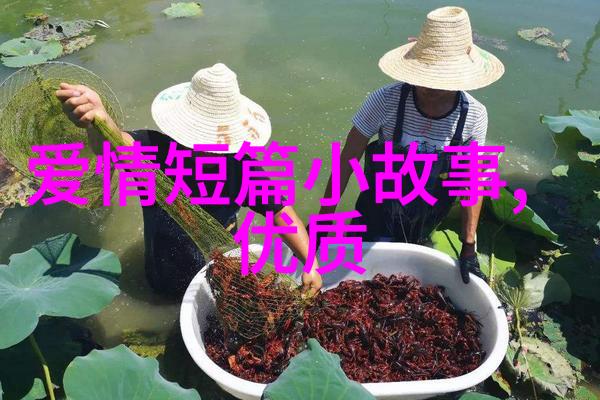 遇一生缘守一段情