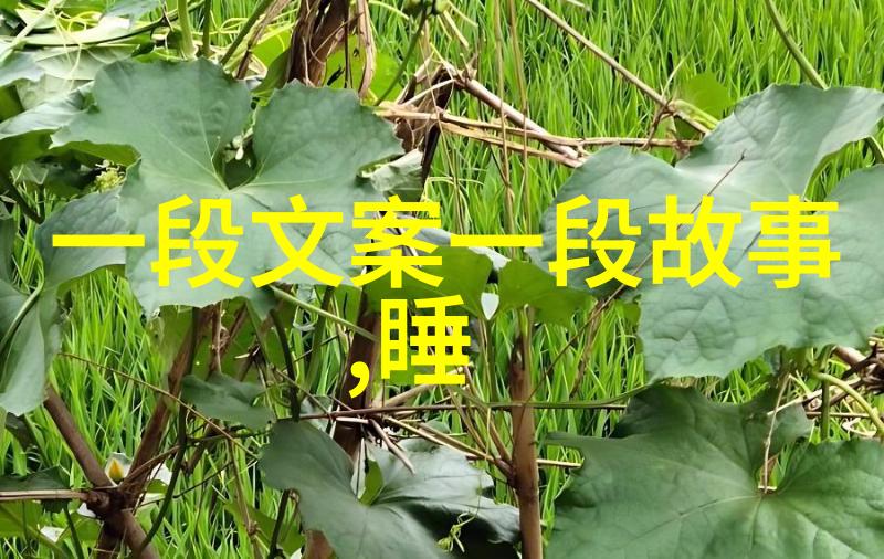 网游请不要拒绝一个拥抱